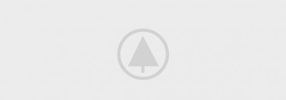 wood-portfolio-placeholder